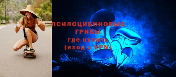ПСИЛОЦИБИНОВЫЕ ГРИБЫ Магас