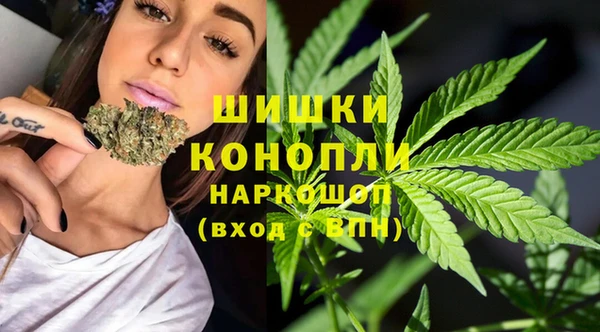 ПСИЛОЦИБИНОВЫЕ ГРИБЫ Магас