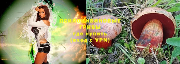 ПСИЛОЦИБИНОВЫЕ ГРИБЫ Магас