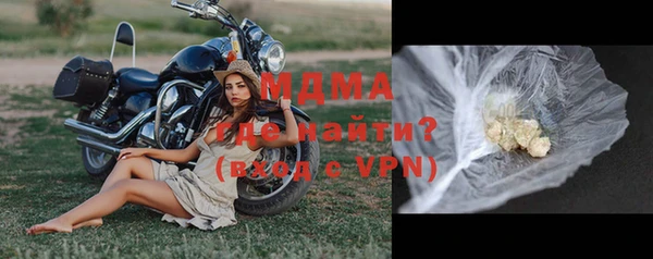 ПСИЛОЦИБИНОВЫЕ ГРИБЫ Магас