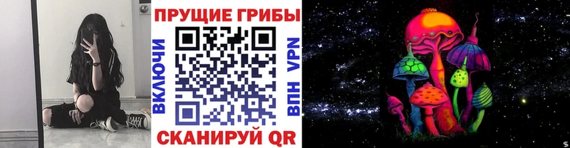 Купить Алушта Псилоцибиновые грибы мухоморы